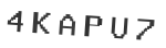 Verification Code Image